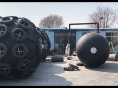 Anzeige der STS-Schutzflügel