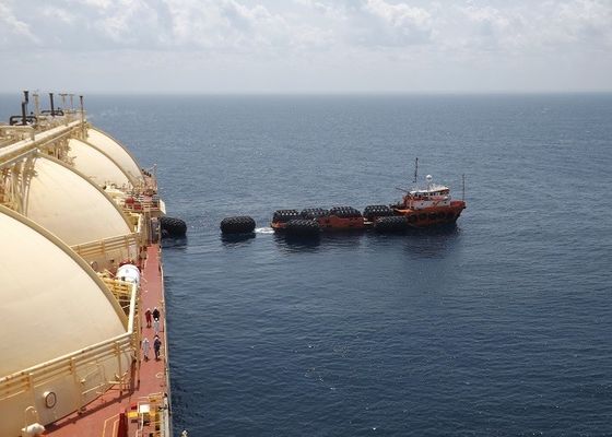 Qualität ISO-Standard-Reifenhüllen-Kotflügel usine