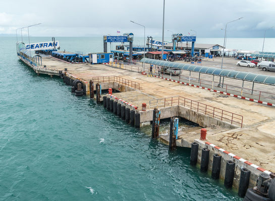 Qualität D-artiger MarineGummipuffer einfach, die starke dauerhafte Sondergröße zu installieren verfügbar usine