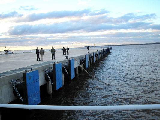 Qualität Kegel-Art Marine Ship Rubber Fender Pad, Kegel-Boots-Gummipuffer usine