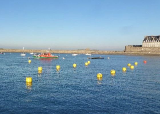 Qualität Starke Wetter-Festigkeits-Marineliegeplatz-Bojen-höhere Belastbarkeit für das Schwimmen der Plattform usine