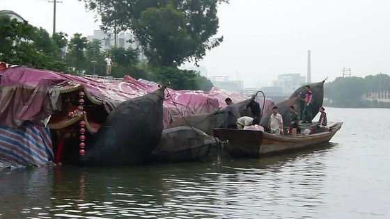Qualität Kundengerechte aufblasbare Gummiairbags, direkt geliefert vom Hersteller usine
