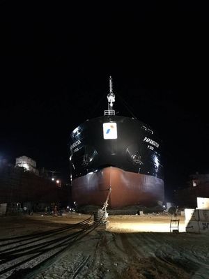 Qualität 16m Marine Rubber Airbag Boat Lift Marine Salvage Airbag usine