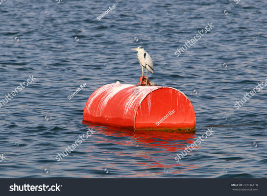 Qualität Schäumen gefüllte Marine Floating And Steel Mooring-Boje mit Kette durch usine